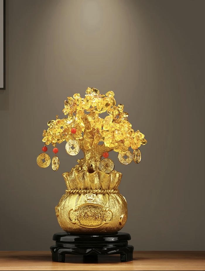 cây phát tài phong thuỷ mang phúc