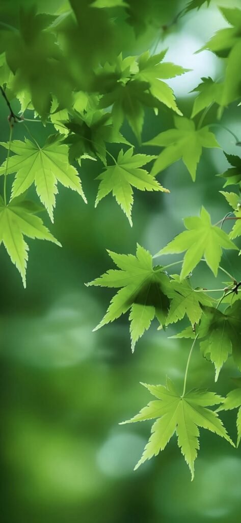 hình ảnh lá cây xanh nghệ thuật