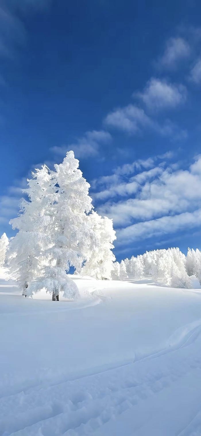 hình ảnh nền đồi tuyết trắng trời quang đãng