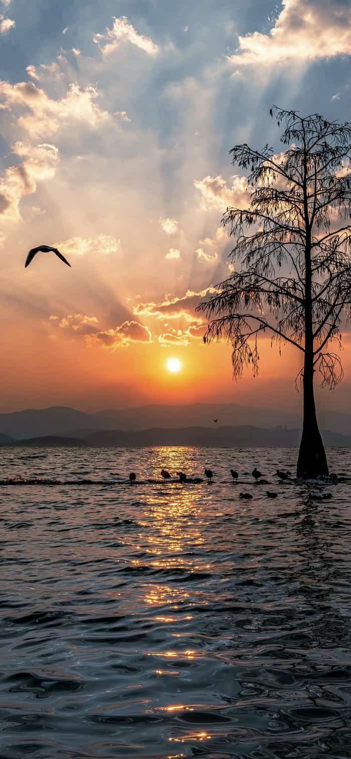 hình ảnh nền mặt trời mọc rạng đông đẹp