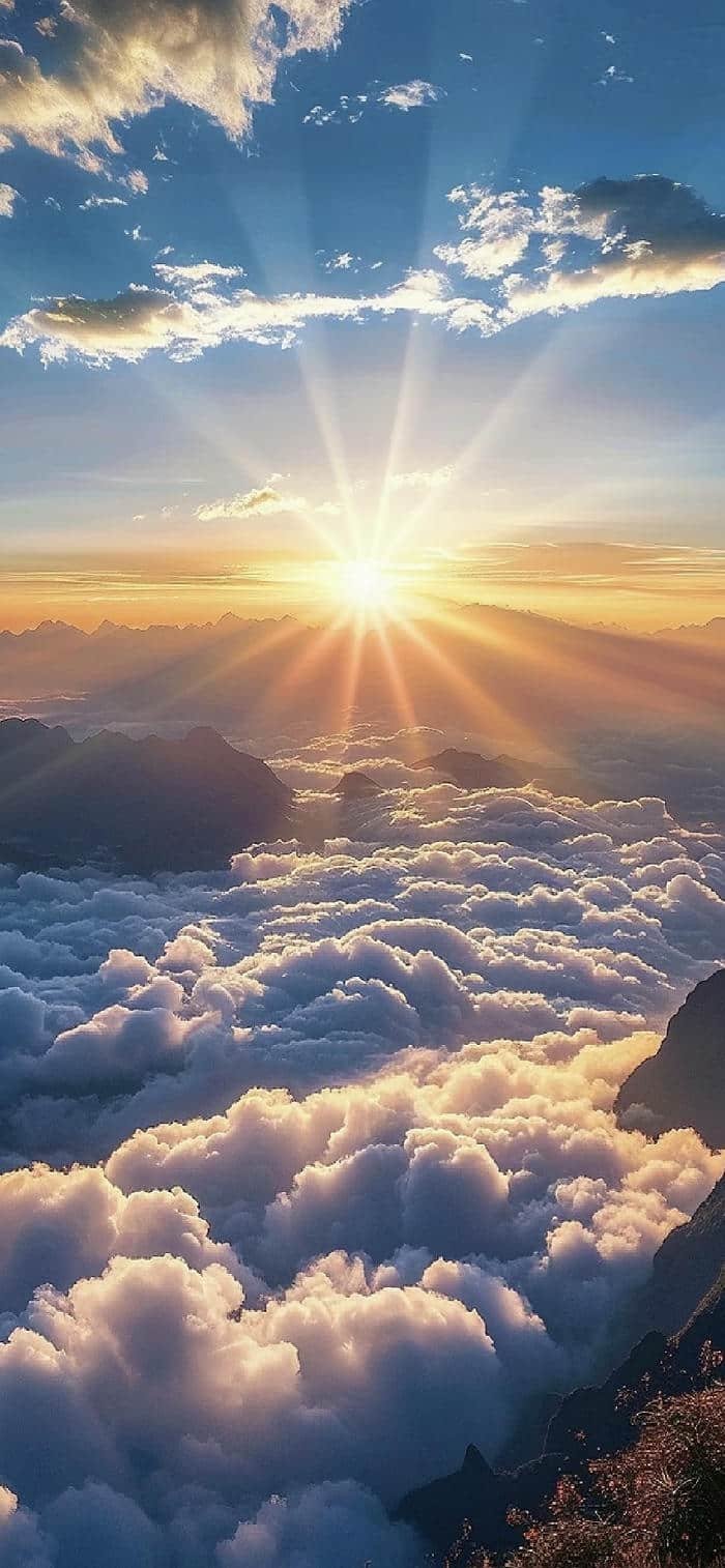 hình ảnh nền mặt trời mọc rực rỡ ấm