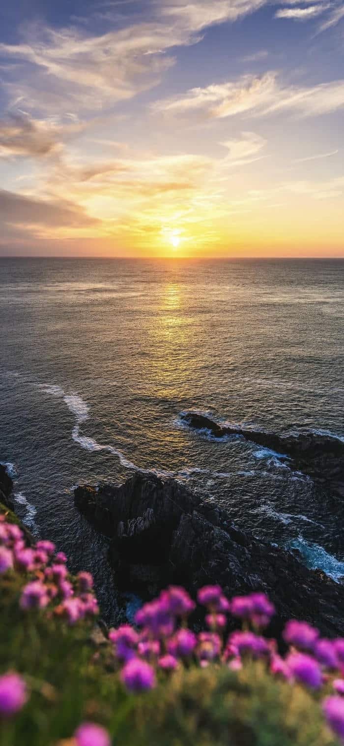 hình ảnh nền mặt trời mọc sắc nắng vàng