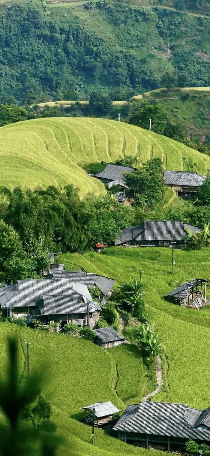 hình ảnh nền phong cảnh đồng quê thanh bình