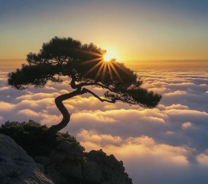 hình cảm hứng đi lên