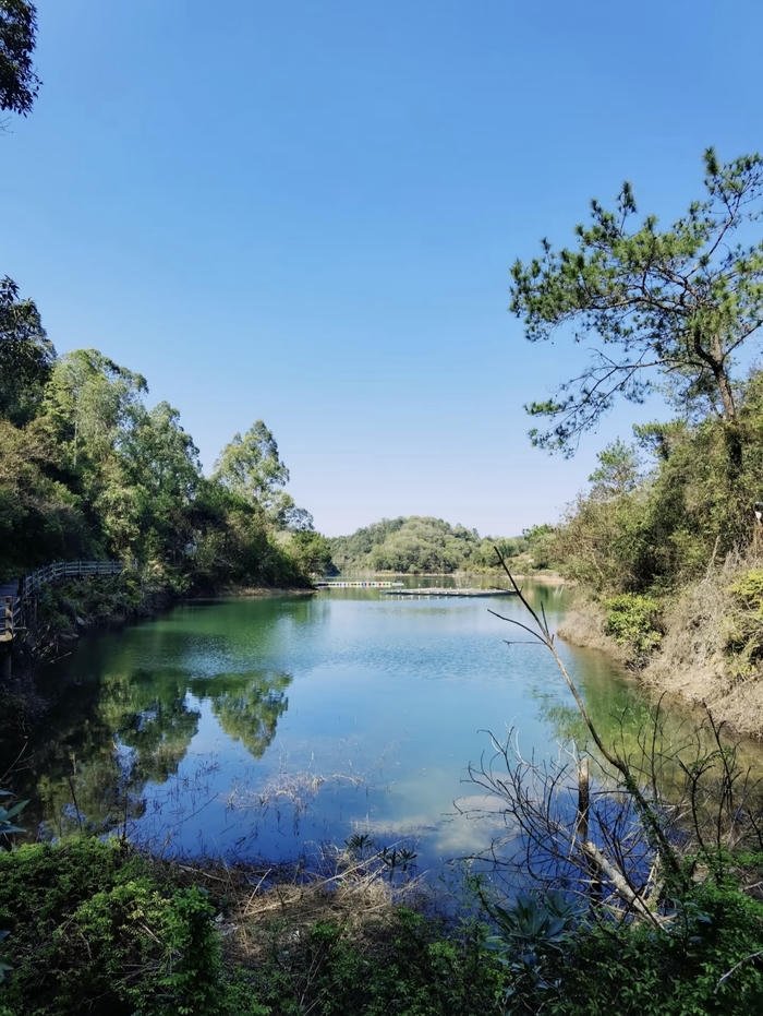 hình hồ nước làm dịu tâm