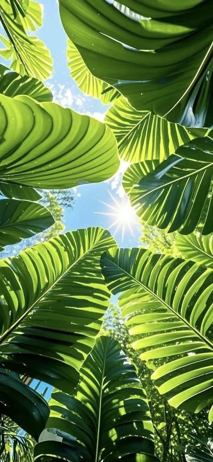 hình lá rừng xanh mướt