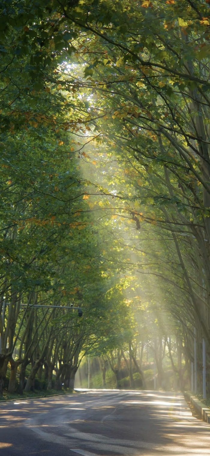 hình nền ánh sáng đẹp