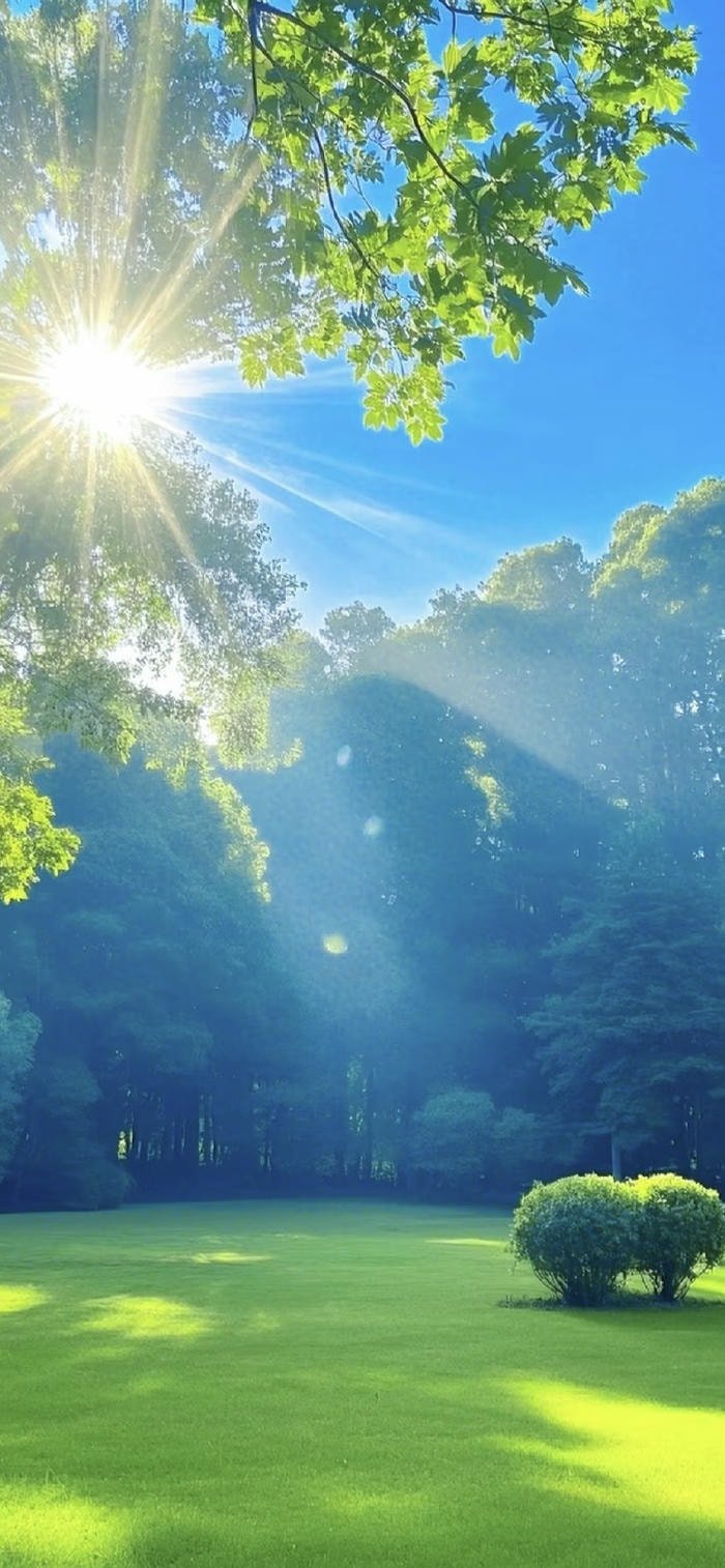 hình nền ánh sáng động