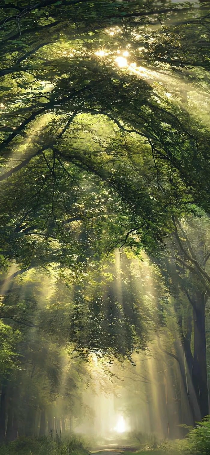 hình nền ánh sáng tinh tế