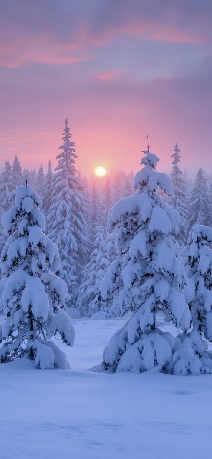 hình nền đồi tuyết trắng cảnh sắc mềm