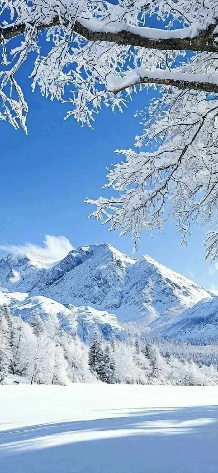 hình nền đồi tuyết trắng lạnh giá