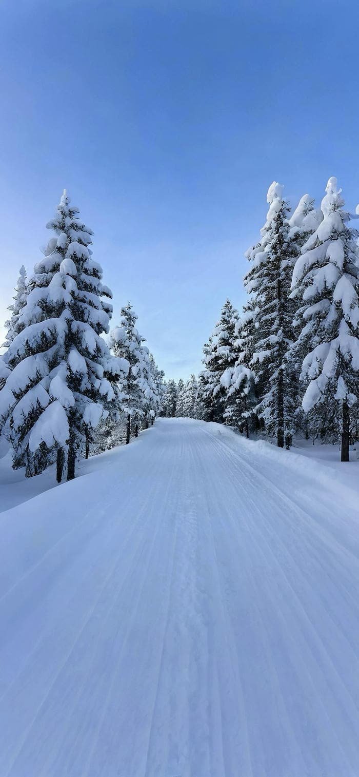 hình nền đồi tuyết trắng thiên nhiên