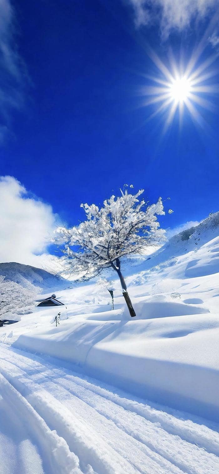 hình nền đồi tuyết trắng trời xanh cao