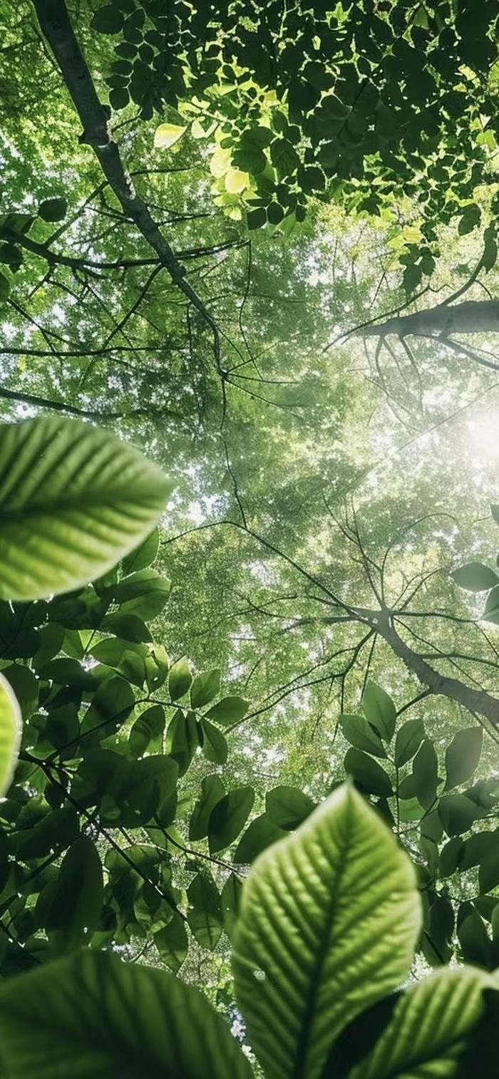 hình nền lá cây màu xanh