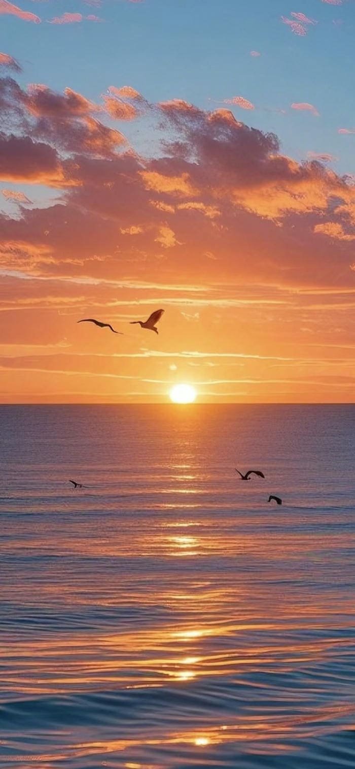 hình nền mặt trời mọc biển lặng êm