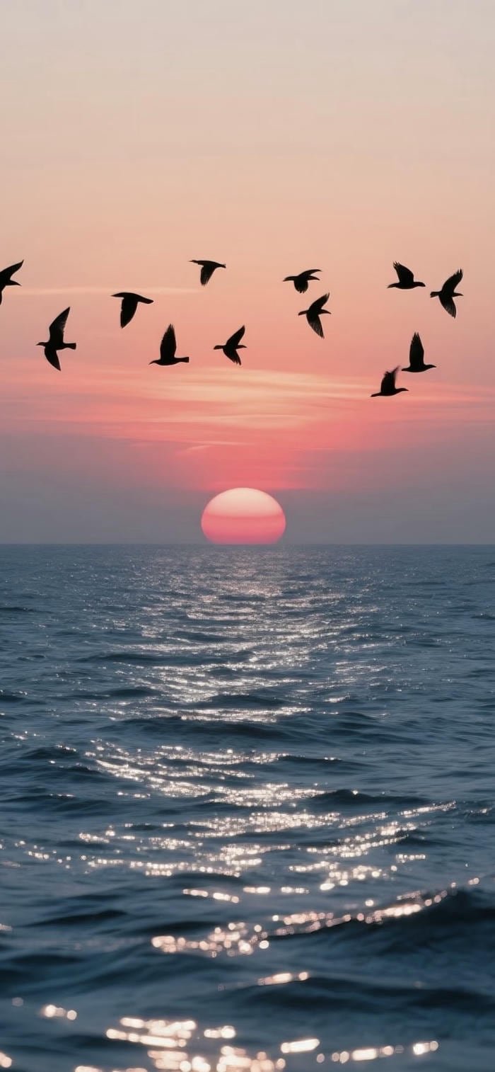 hình nền mặt trời mọc trên biển tĩnh lặng