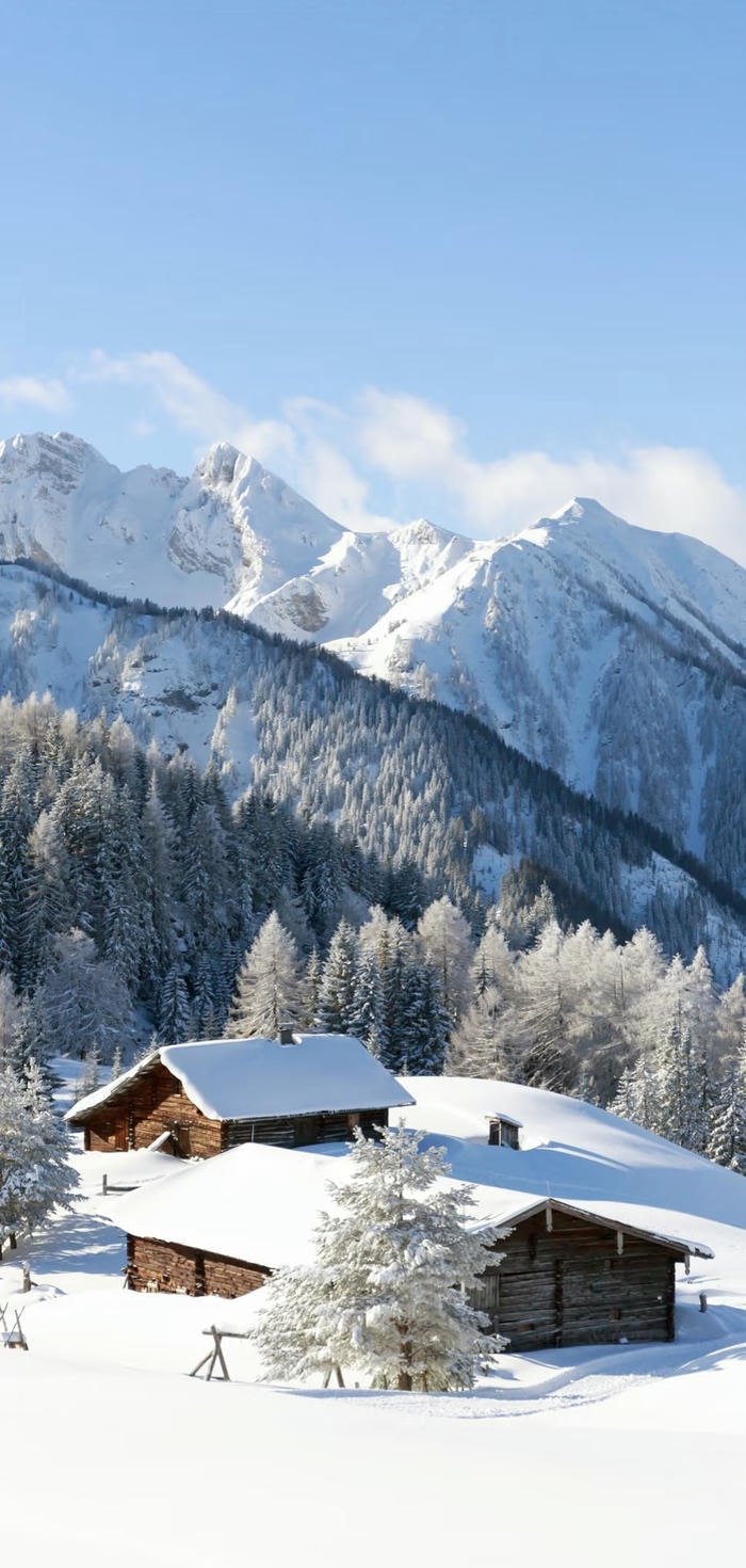 hình nền mùa đông lạnh giá