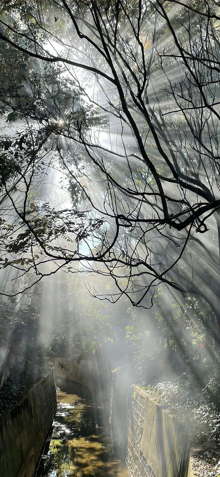 hình nền năng lượng ánh sáng lung linh