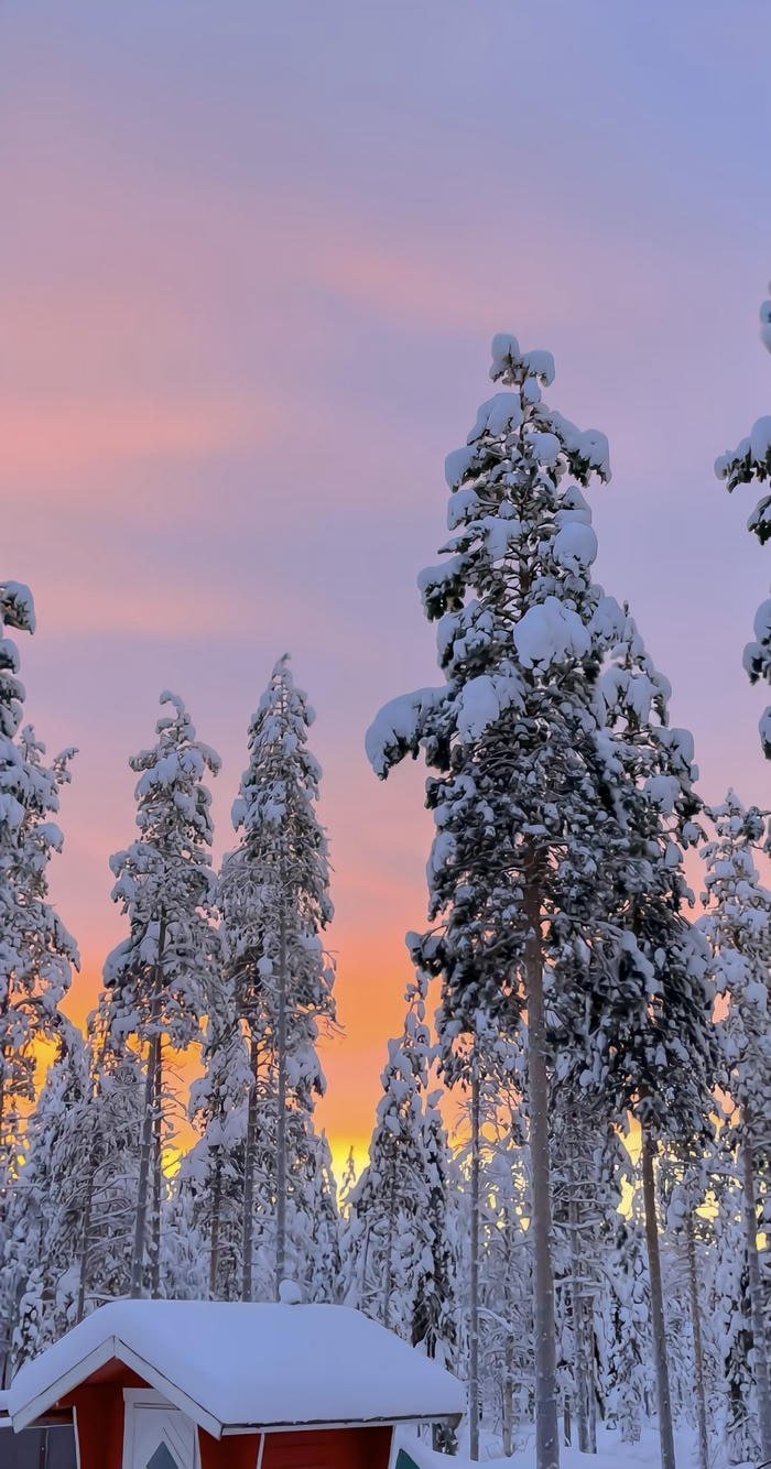 hình nền phong cảnh bão tuyết nhẹ