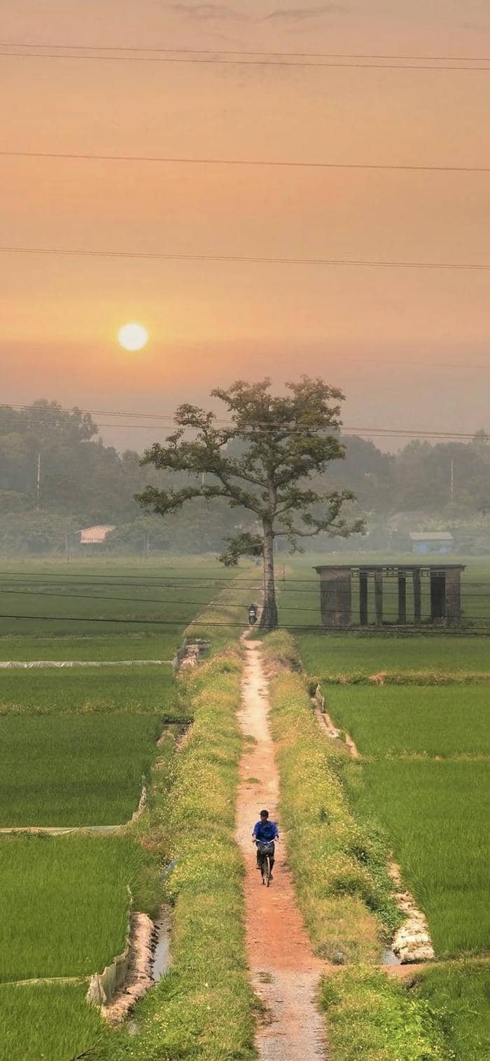 hình nền phong cảnh đồng quê đường mòn trong làng