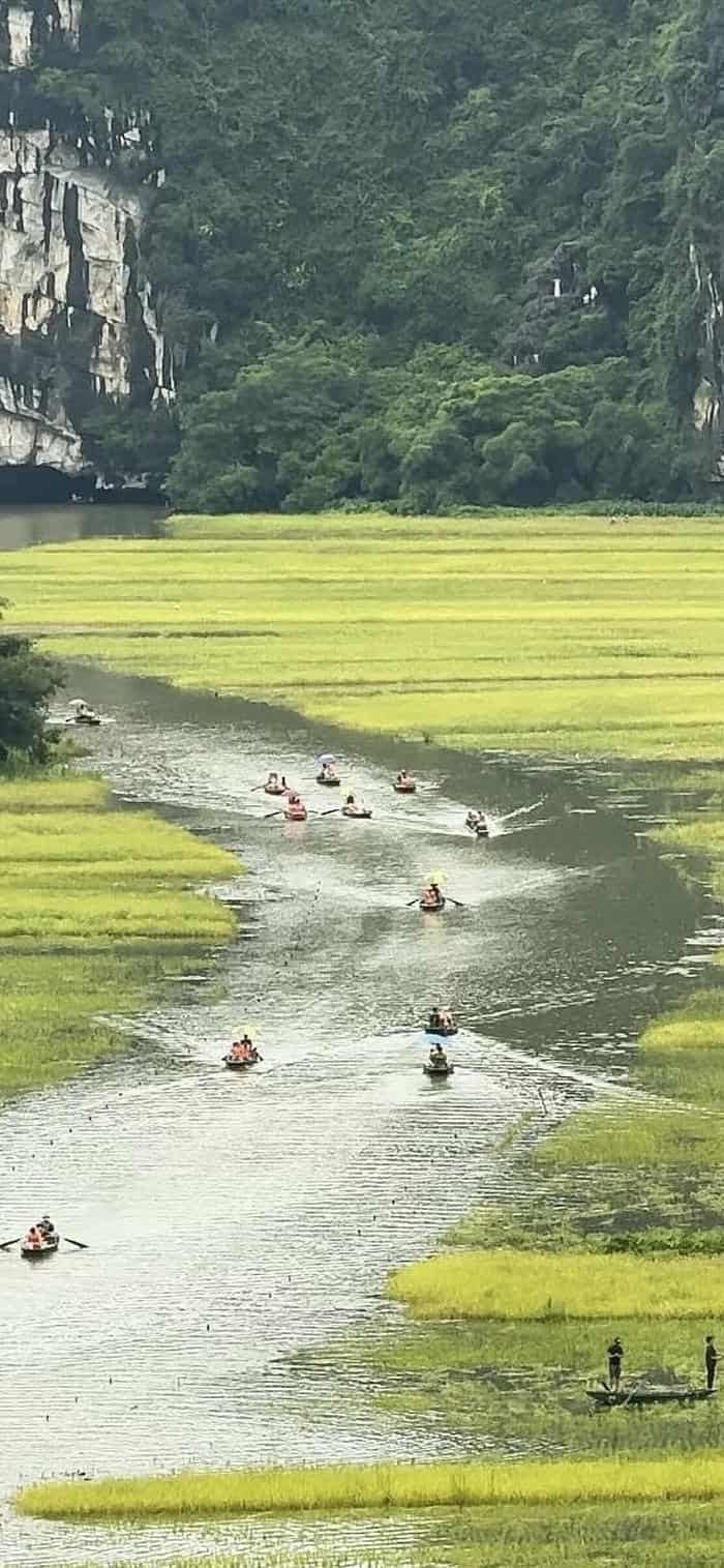 hình nền phong cảnh đồng quê sông nước