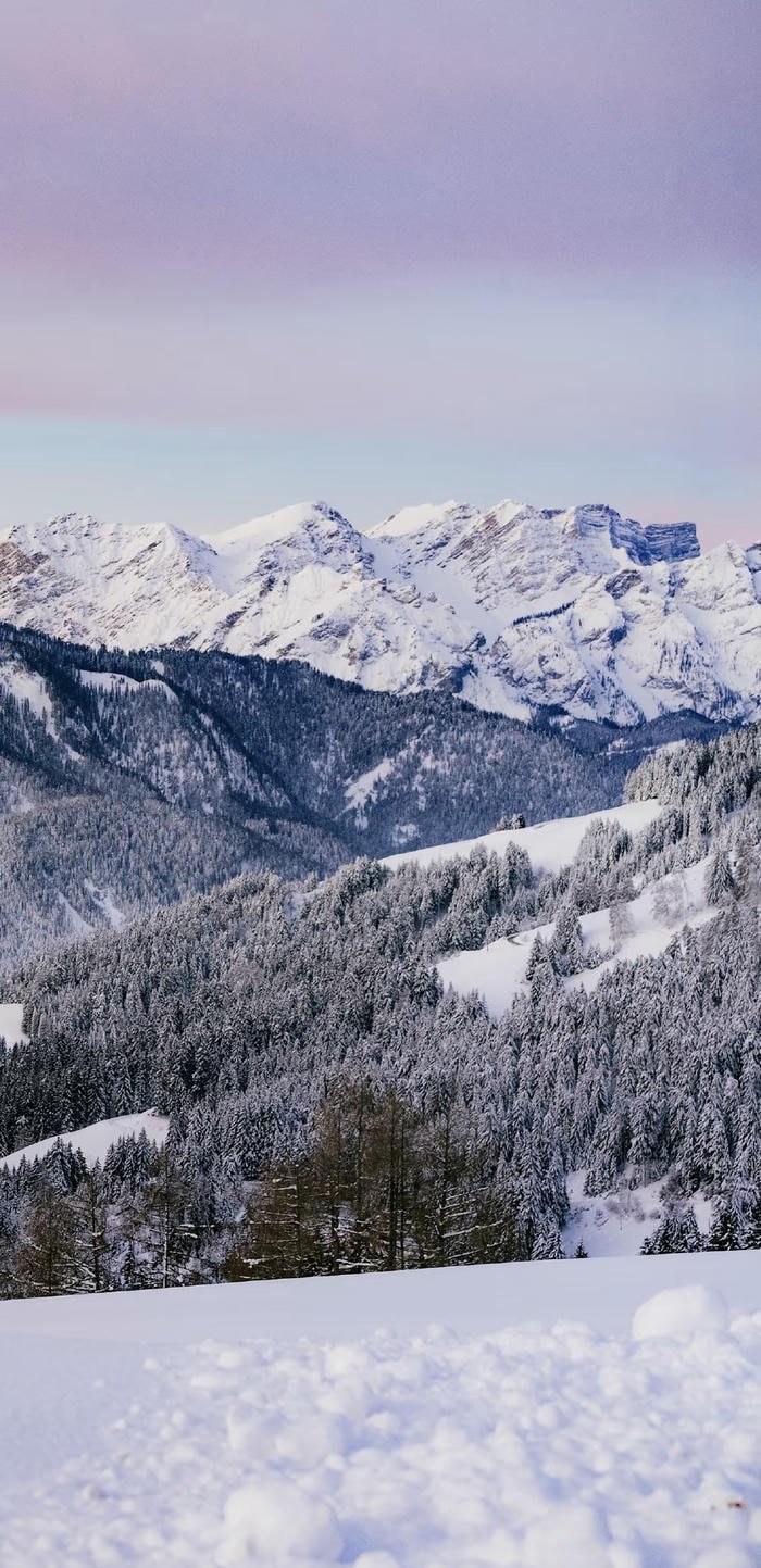 hình nền tuyết rơi ban đêm