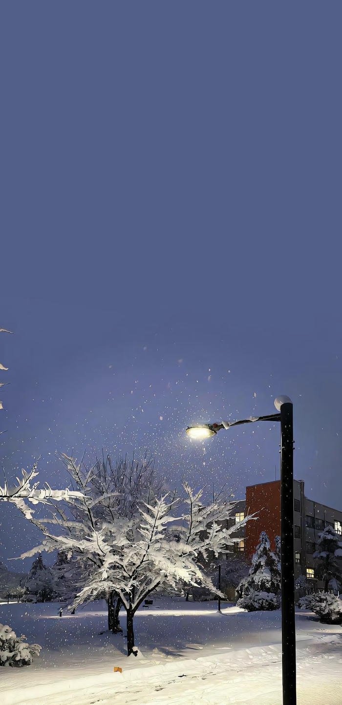 hình nền tuyết rơi lãng mạn