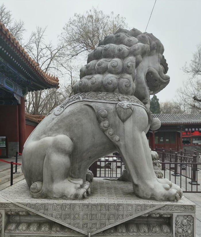 hình tượng sư tử tăng vượng khí