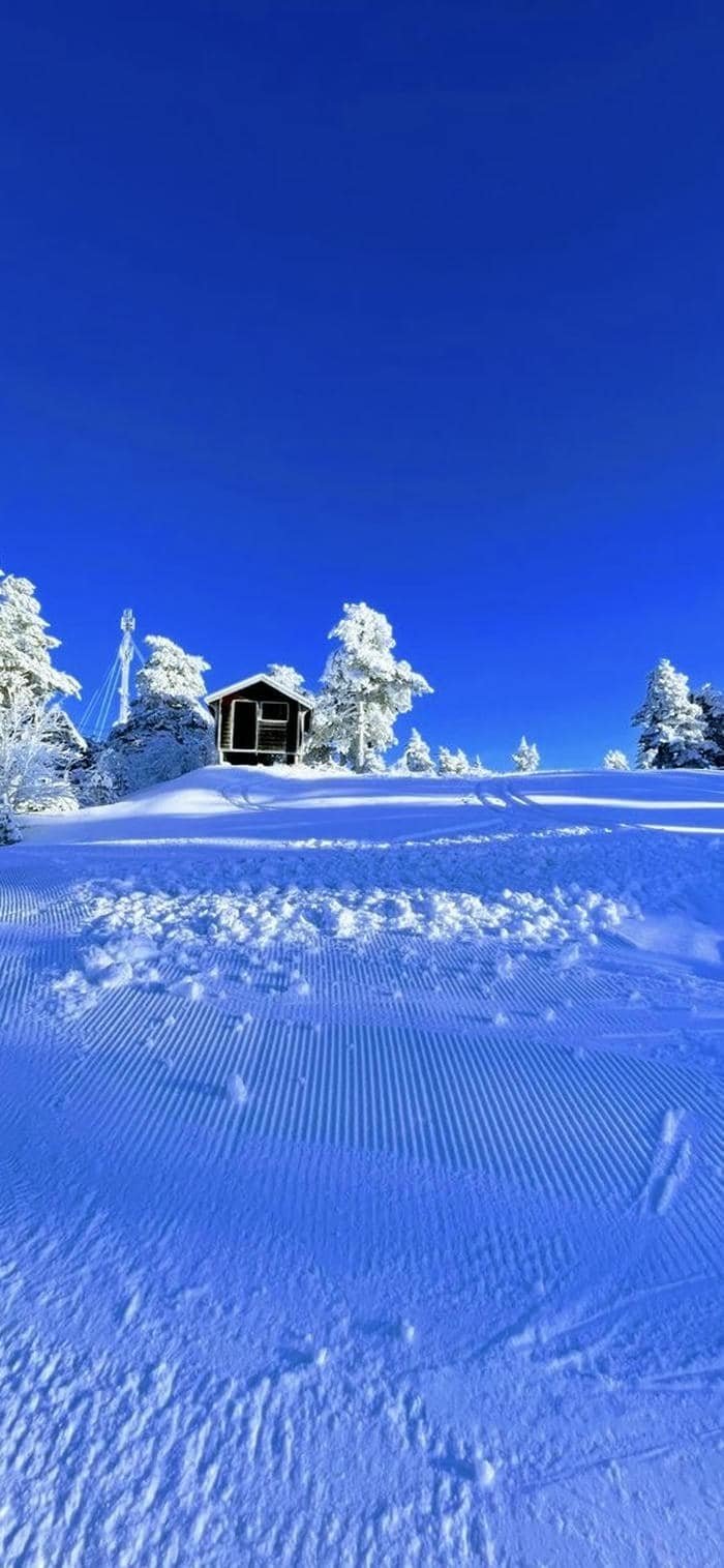 nền đồi tuyết trắng buổi sáng tinh