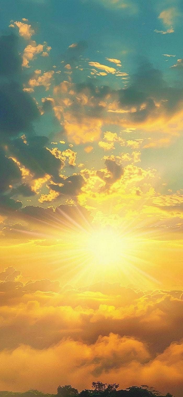 nền mặt trời mọc chân mây sáng