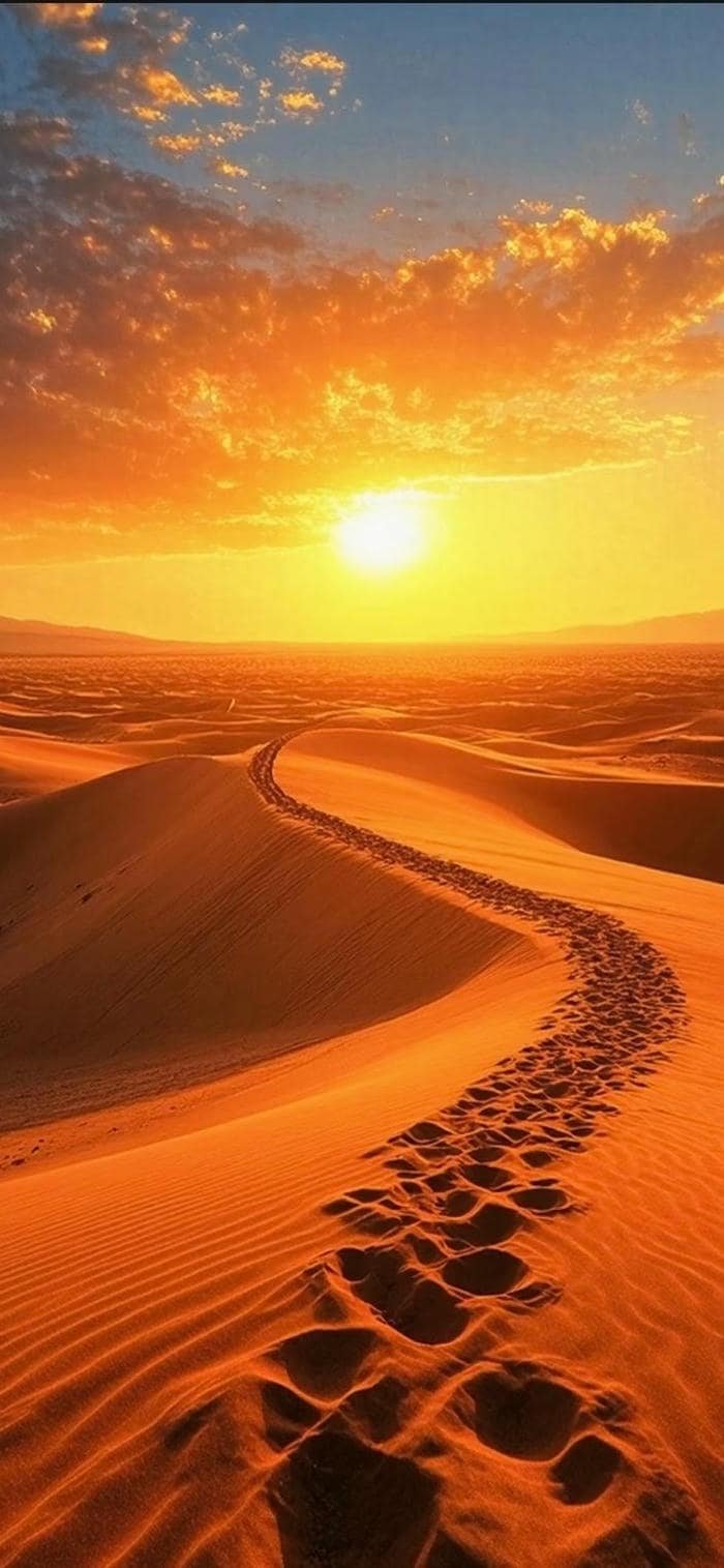 nền mặt trời mọc trên sa mạc rộng lớn
