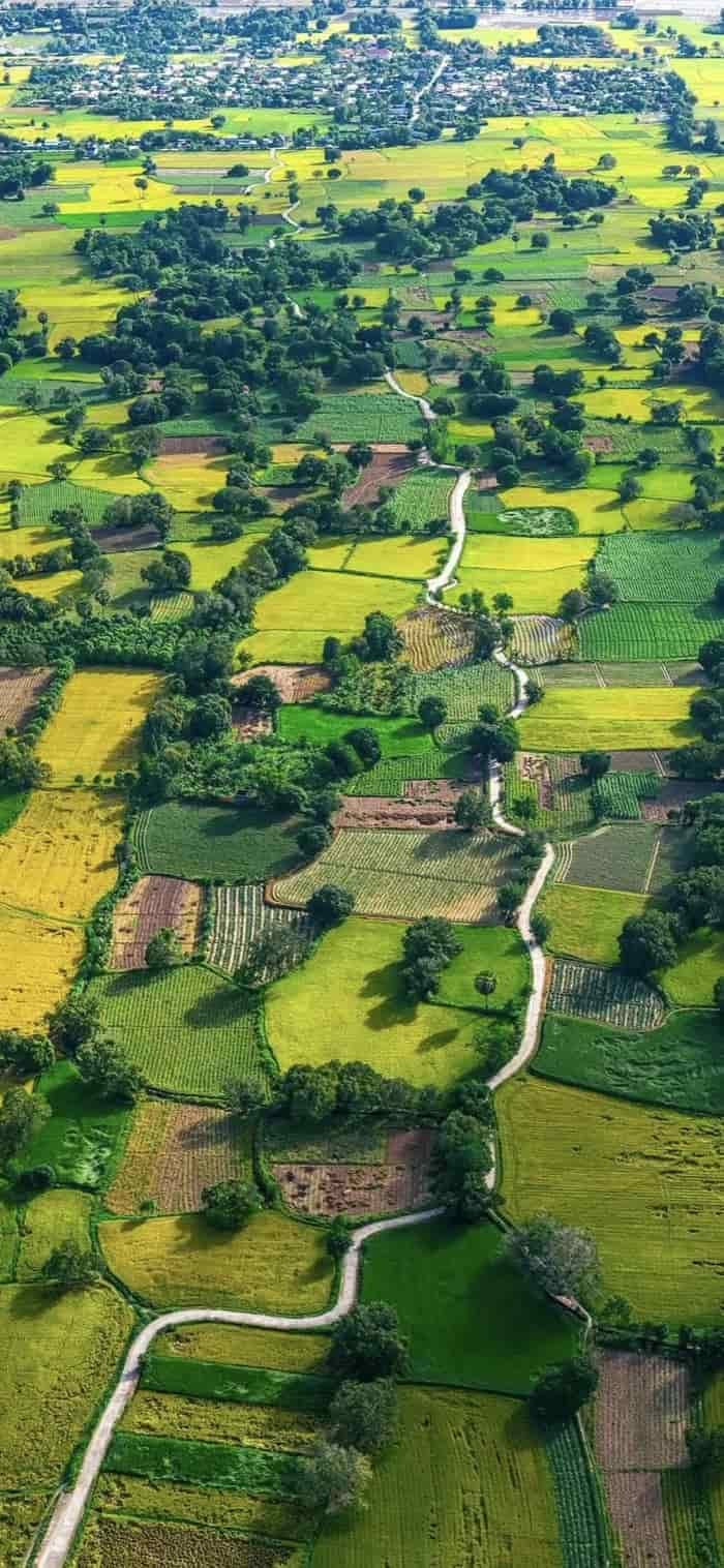 nền phong cảnh đồng quê xanh mướt mát