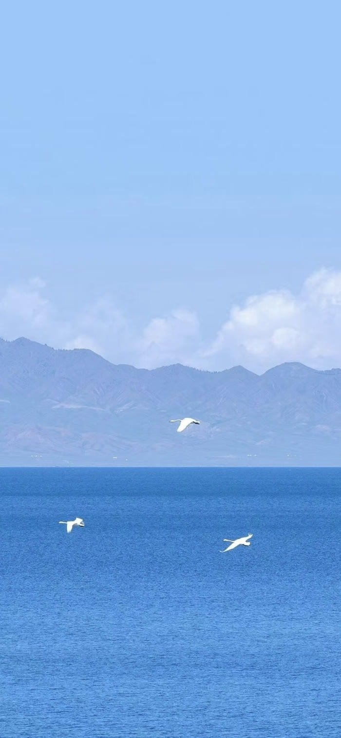 nền xanh dương dịu mát cảm giác mát