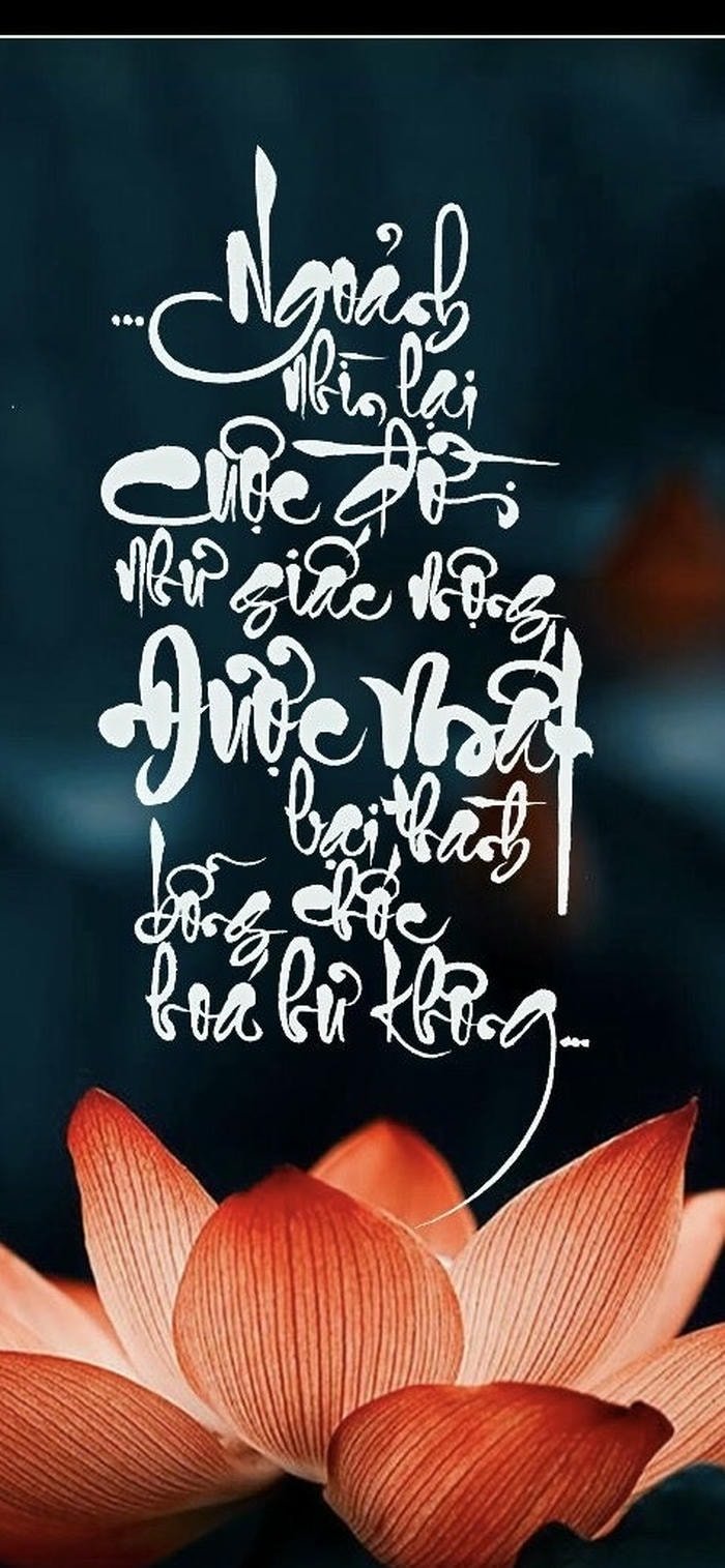 những hình nền triết lý chữ classic