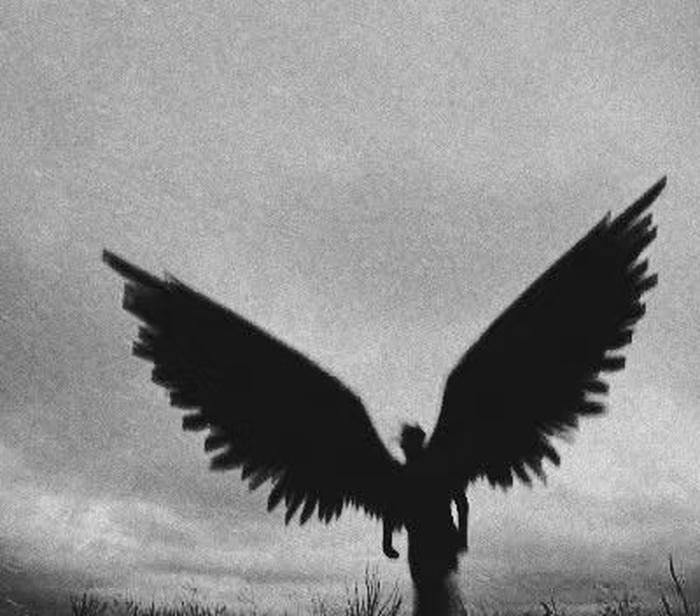 thiên thần ánh sáng tạo cảm giác yên bình